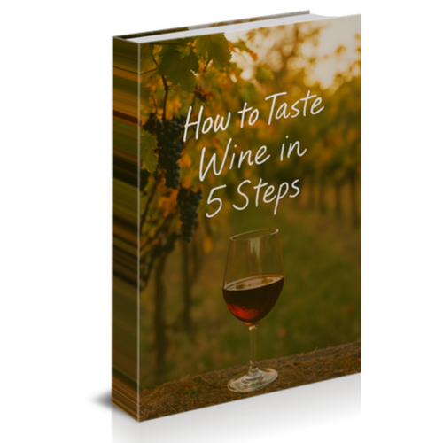How to Taste Wine in 5 Steps